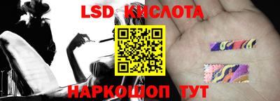 гашик Кулебаки