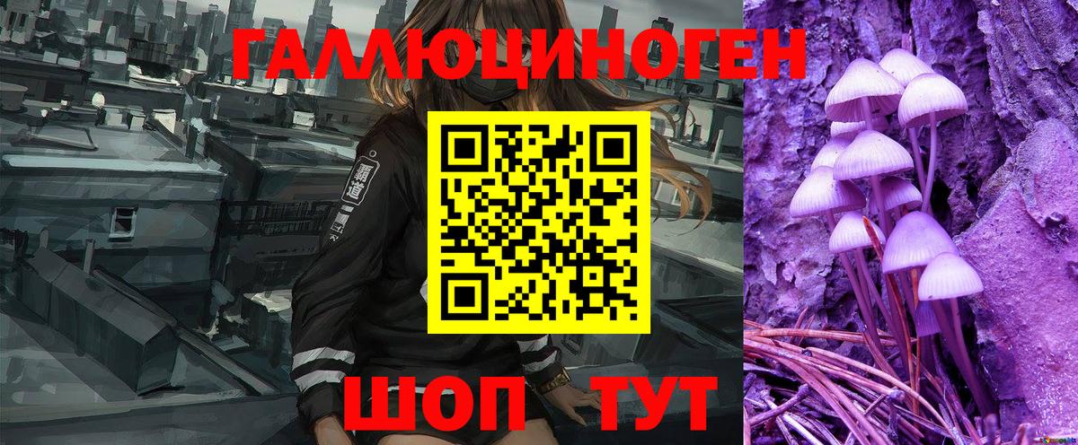 Кисловодск  Галлюциногенные грибы Magic Shrooms  Вход с VPN 